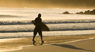 Surfer at dawn - Byron Bay